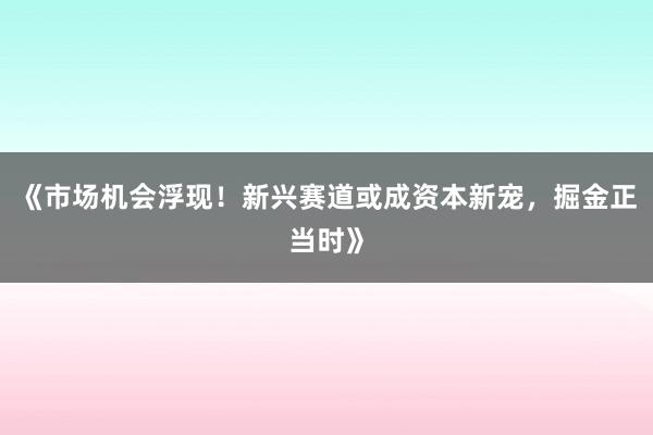《市场机会浮现！新兴赛道或成资本新宠，掘金正当时》