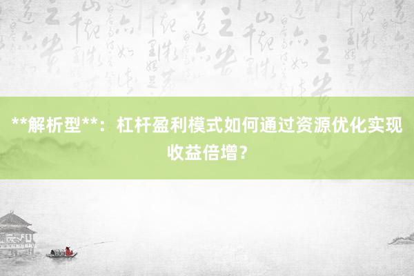 **解析型**：杠杆盈利模式如何通过资源优化实现收益倍增？