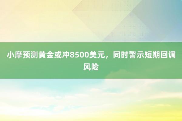 小摩预测黄金或冲8500美元，同时警示短期回调风险