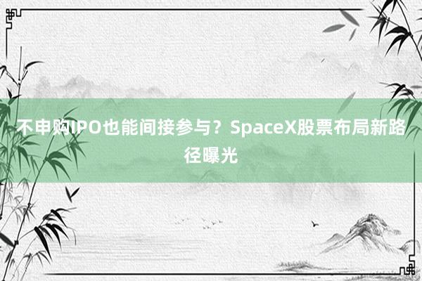 不申购IPO也能间接参与？SpaceX股票布局新路径曝光