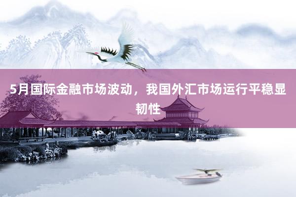 5月国际金融市场波动，我国外汇市场运行平稳显韧性