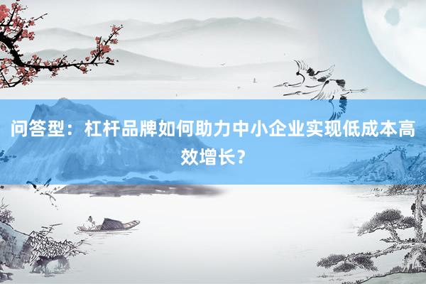 问答型：杠杆品牌如何助力中小企业实现低成本高效增长？