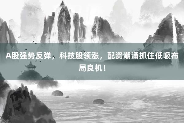 A股强势反弹，科技股领涨，配资潮涌抓住低吸布局良机！